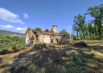 Villa Camerana - photo 2