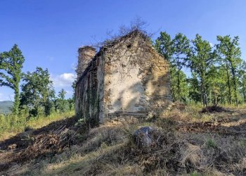 Villa Camerana - photo 3