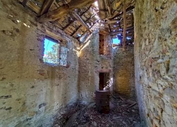 Villa Camerana - photo 5