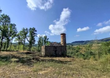 Villa Camerana - photo 7