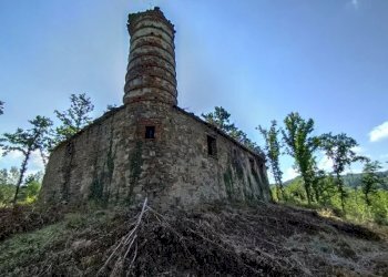 Villa Camerana - photo 8