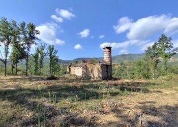 Villa Camerana - photo 9