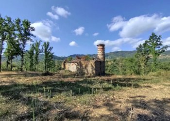 Villa Camerana - photo 10