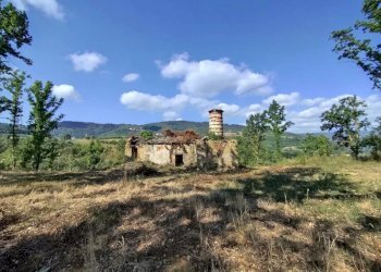 Villa Camerana - photo 11