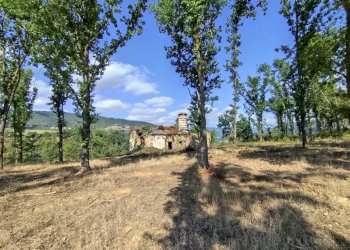 Villa Camerana - photo 12