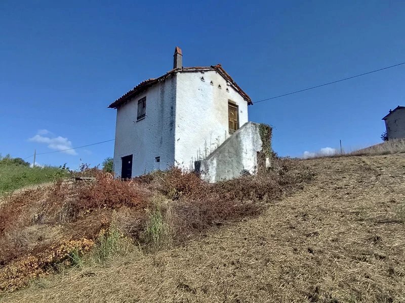 Casale Saliceto - foto 3