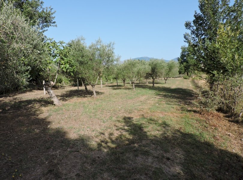 Agricultural land Santi Cosma e Damiano - photo 1