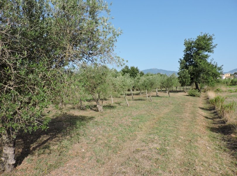 Agricultural land Santi Cosma e Damiano - photo 3