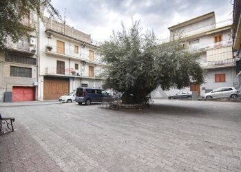 Edificio all\'aperto - Four-room apartment Via Adelaide Bruno Alessi
 
26, Santa Maria di Licodia - photo 34