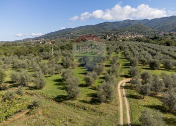 Vista delle montagne - Rustico Reggello - foto 31