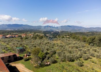 Vista delle montagne - Rustico Reggello - foto 32