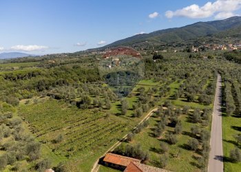 Vista delle montagne - Rustico Reggello - foto 33