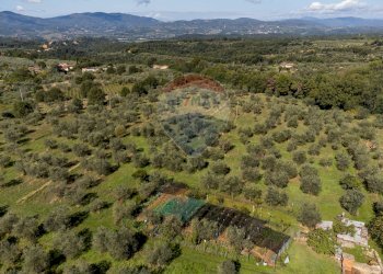 Vista delle montagne - Rustico Reggello - foto 36