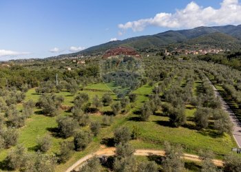 Vista delle montagne - Rustico Reggello - foto 37