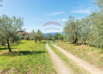 Giardino - Rustico Reggello - foto 38