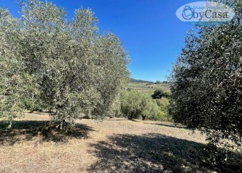 Foto 43 - Villa VIA DI GRICCIANO
 
2, Cerveteri - foto 43