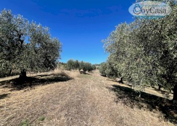 Foto 44 - Villa VIA DI GRICCIANO
 
2, Cerveteri - foto 44