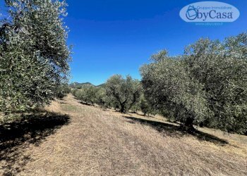 Foto 45 - Villa VIA DI GRICCIANO
 
2, Cerveteri - foto 45