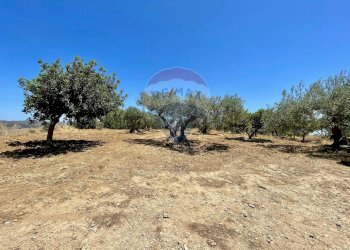 Giardino - Rustico Contrada Piano
 
sn, Mazzarino - foto 44