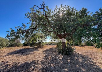 Foto 3 - Rustic Contrada Bosco di sopra, Canicattini Bagni - photo 3