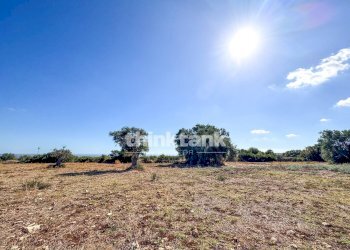 Foto 4 - Rustic Contrada Bosco di sopra, Canicattini Bagni - photo 4