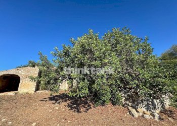 Foto 7 - Rustic Contrada Bosco di sopra, Canicattini Bagni - photo 7