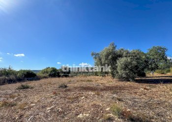 Foto 21 - Rustic Contrada Bosco di sopra, Canicattini Bagni - photo 21