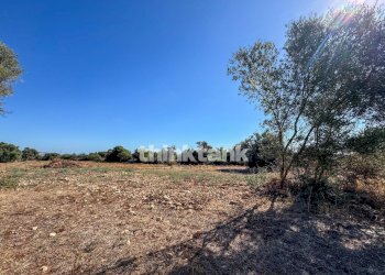 Foto 38 - Rustic Contrada Bosco di sopra, Canicattini Bagni - photo 38