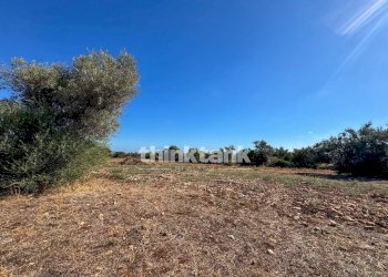 Foto 39 - Rustic Contrada Bosco di sopra, Canicattini Bagni - photo 39