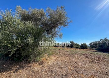 Foto 40 - Rustic Contrada Bosco di sopra, Canicattini Bagni - photo 40