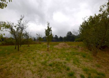 Terreno - Rustic via 20 Settembre, 159, Niella Tanaro - photo 12