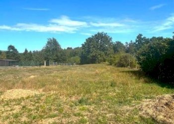 Terreno - Rustic via 20 Settembre, 159, Niella Tanaro - photo 13