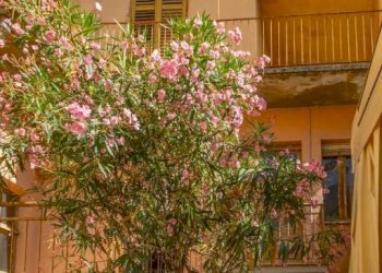 Facciata - Casa indipendente via Giovanni Giolitti, 7, Dronero - foto 1