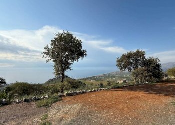 Terreno - Villa Diamante - foto 24