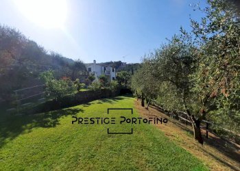 Villa Santa Margherita Ligure - photo 6