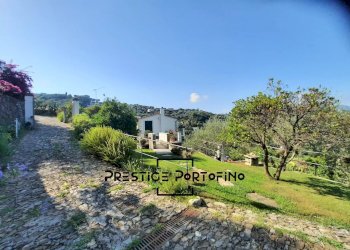 Villa Santa Margherita Ligure - photo 7