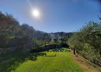 Villa Santa Margherita Ligure - photo 9