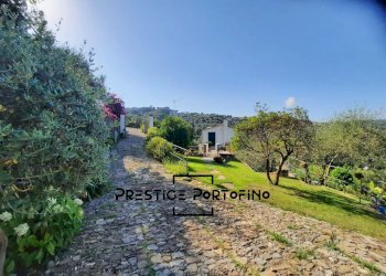 Villa Santa Margherita Ligure - photo 22