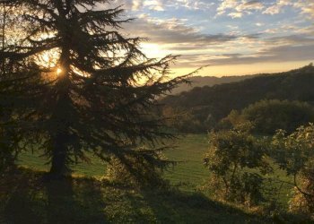 Casale Murazzano - photo 17