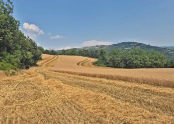 Casale Murazzano - photo 72