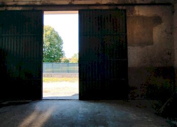 Magazzino Mirandola - foto 7