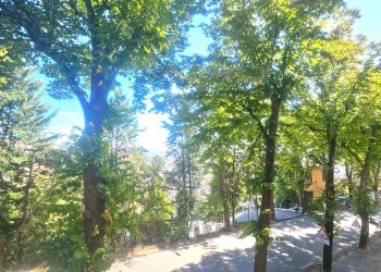 Foto 18 - Appartamento VIALE CAVOUR, Teramo - foto 18