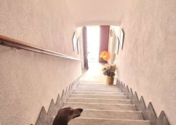 Scala - Rustic piazza Guglielmo Marconi, 5, Vigliano d'Asti - photo 12