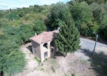 Terreno - Rustico Regione Sconi, Cassinasco - foto 4