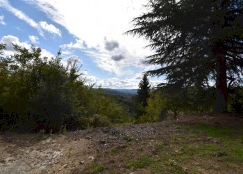 Terreno - Rustico Regione Sconi, Cassinasco - foto 7