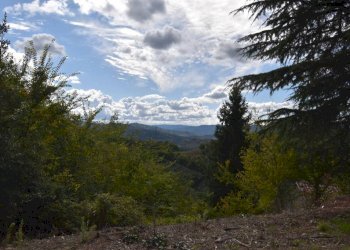 Terreno - Rustico Regione Sconi, Cassinasco - foto 8