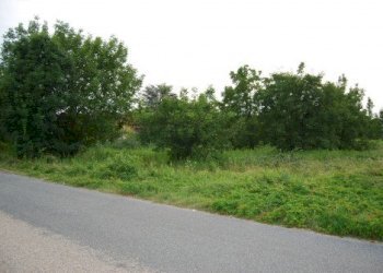 Building land Torino - photo 14