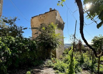 Foto 10 - Casa indipendente via Graffigna
 
snc, Fermo - foto 10