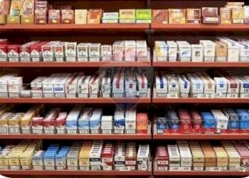 Dispensa di stoccaggio - Commercial Activity Contrada Paternò, Paterno - photo 6