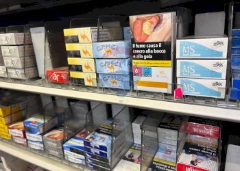 Dispensa di stoccaggio - Commercial Activity Contrada Paternò, Paterno - photo 15